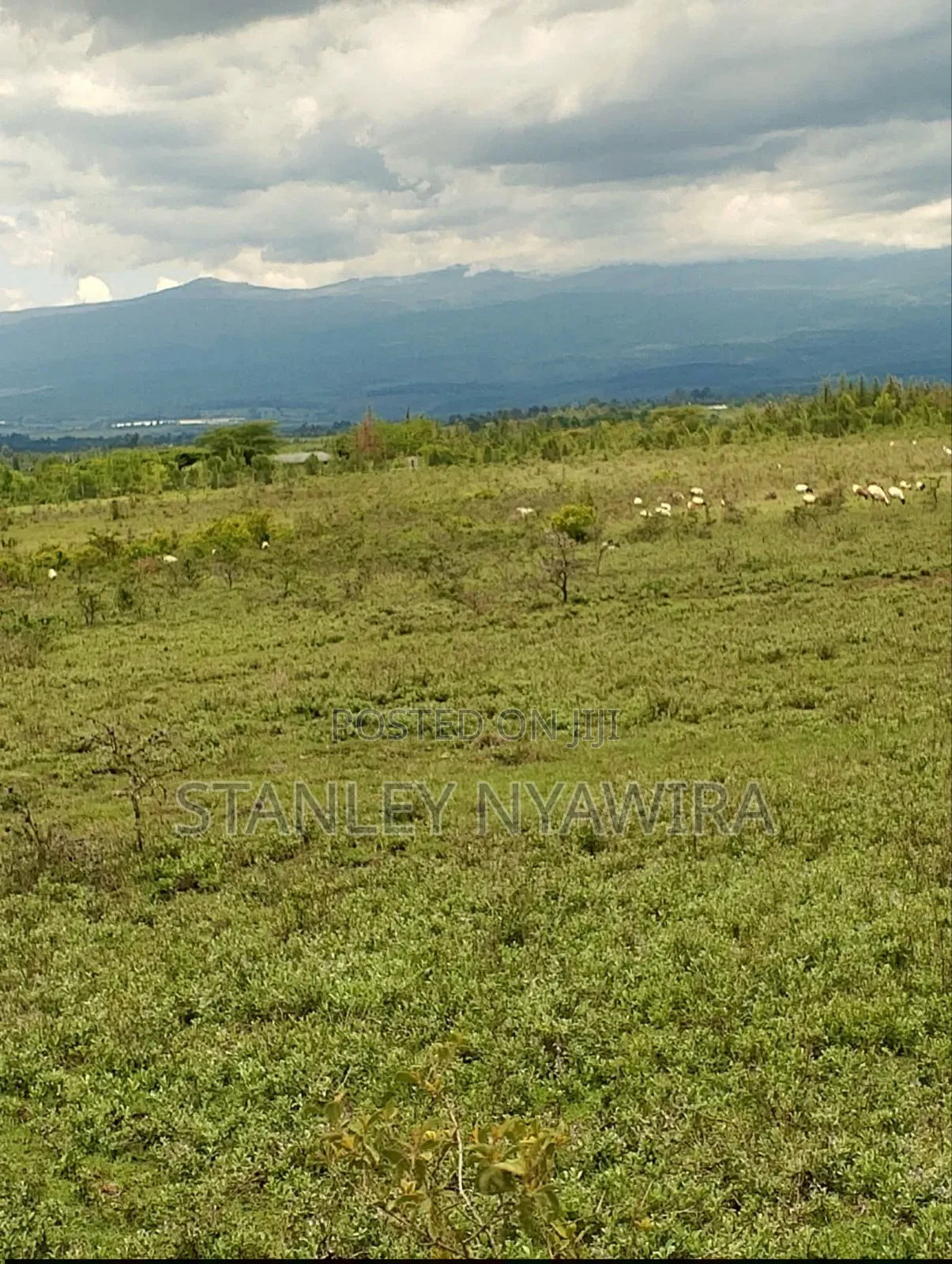 6 Acreas Nanyuki Mukima