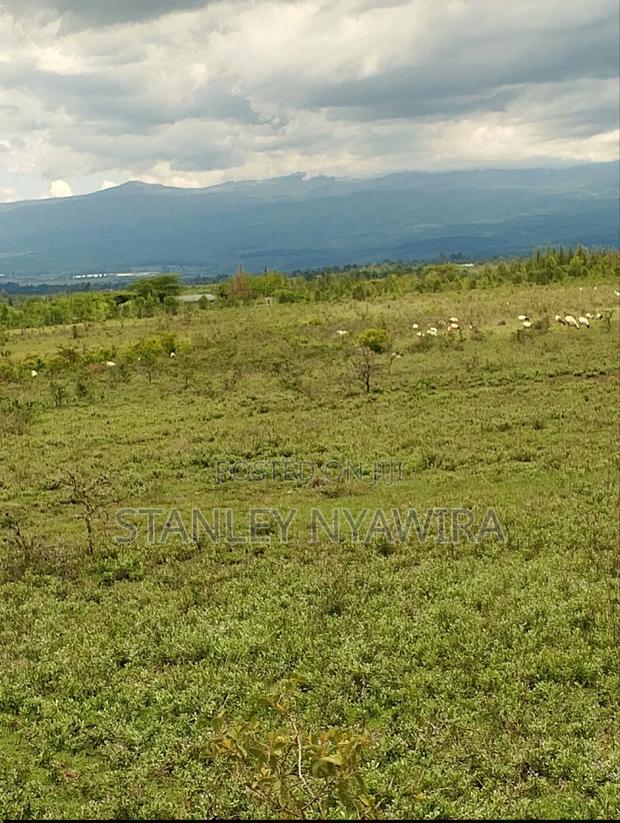 6 Acreas Nanyuki Mukima - thumbnail 5
