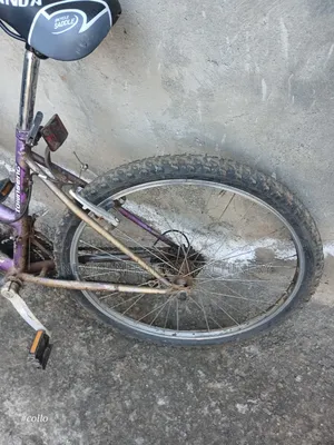 Ex Usa Size 26 Bike