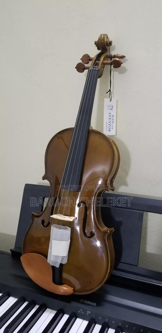 Stentor St01 Violin