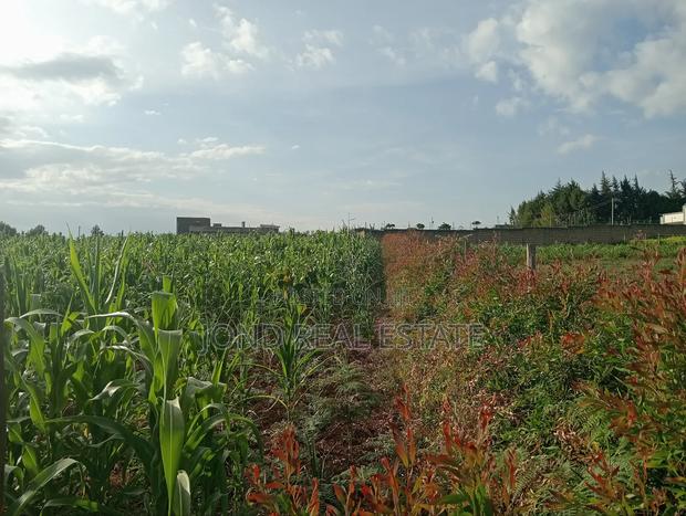0.5 Acre for Sale in Tigoni Near Ridge Cabin Resort