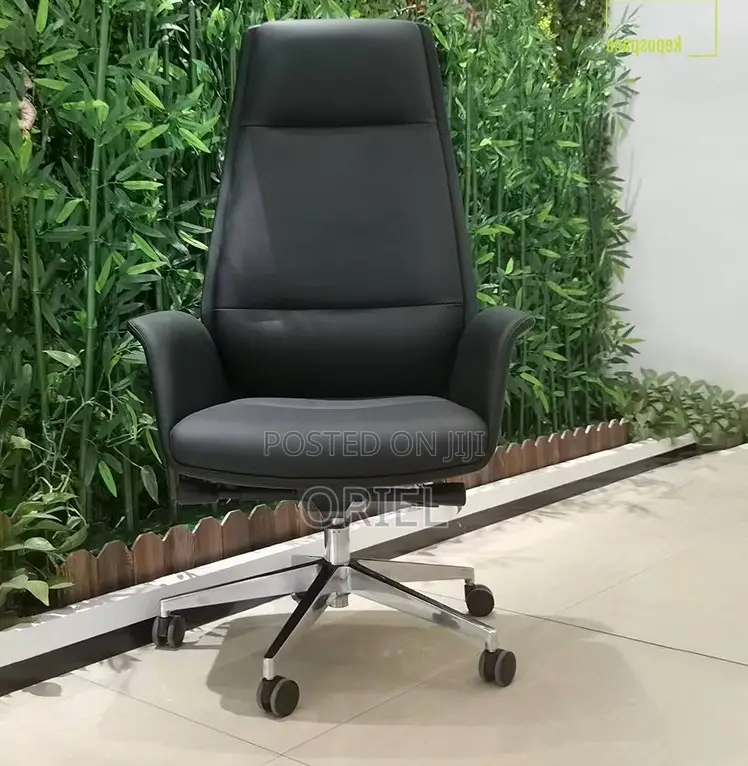 High-Back Office Chair : Office Directors Executive Ergonomic Chair