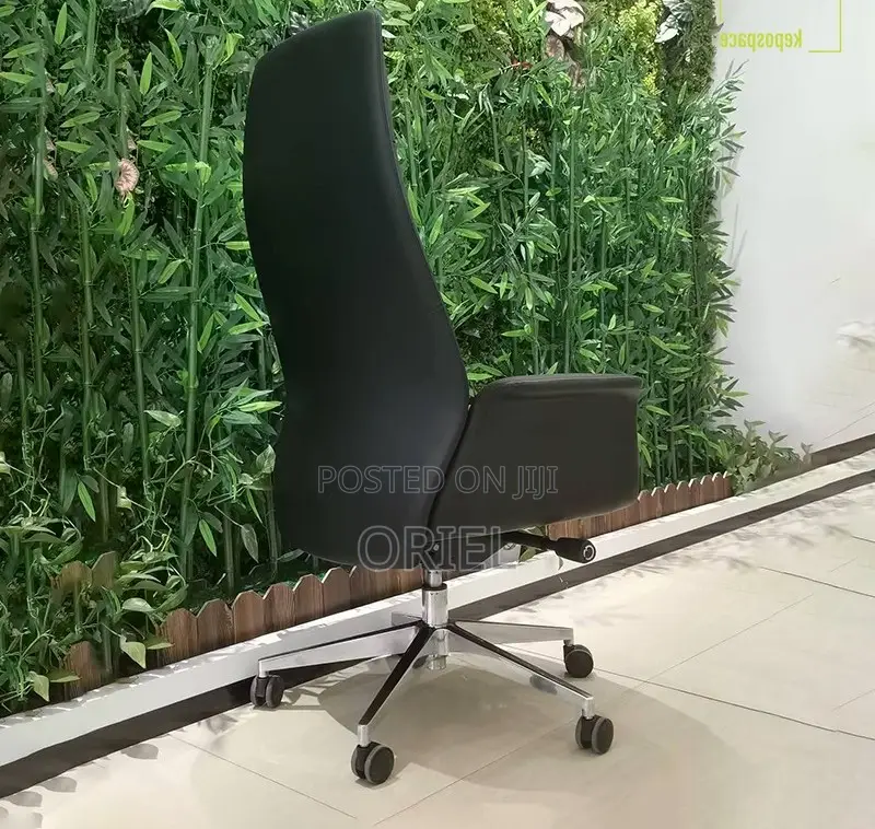 High-Back Office Chair : Office Directors Executive Ergonomic Chair