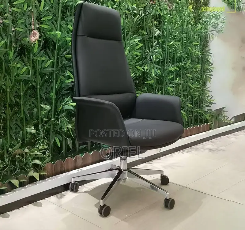 High-Back Office Chair : Office Directors Executive Ergonomic Chair