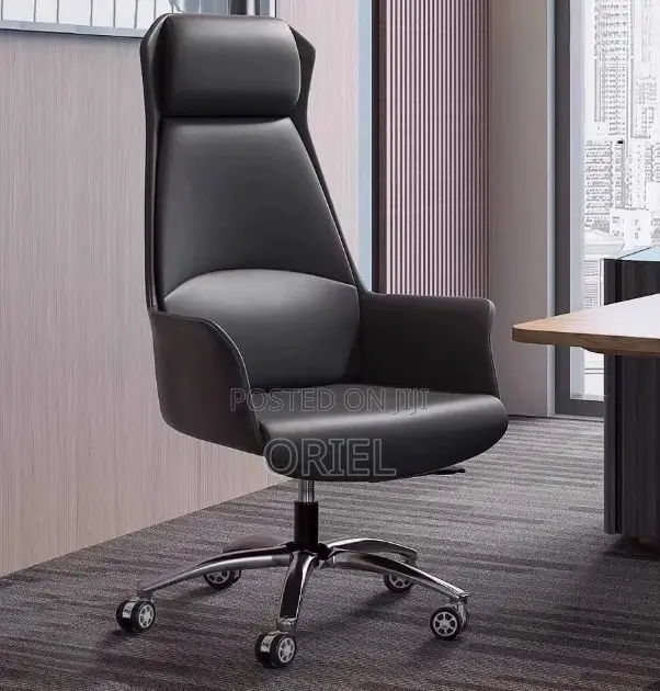 High-Back Office Chair : Office Directors Executive Ergonomic Chair