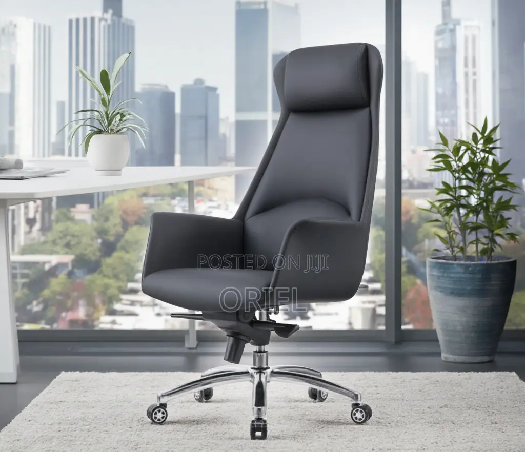 High-Back Office Chair : Office Directors Executive Ergonomic Chair