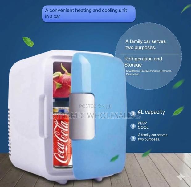 4l Portable Mini Fridge Cooler Warmer (