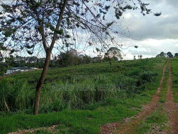 Prime 1 Acre for Sale in Kentmere, Tigoni. - thumbnail 4