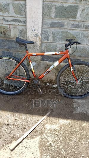 Mountain Bike Size 26
