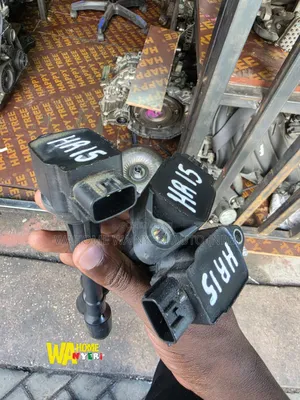 Engine Coil Hr12,Hr15,Qr20,Mr20 for Nissan Note Juke,Extrail,Ad, Etc