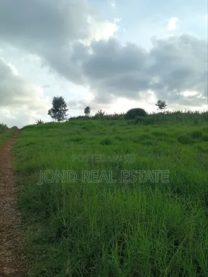 1 Acre for Sale in Tigoni, Limuru.