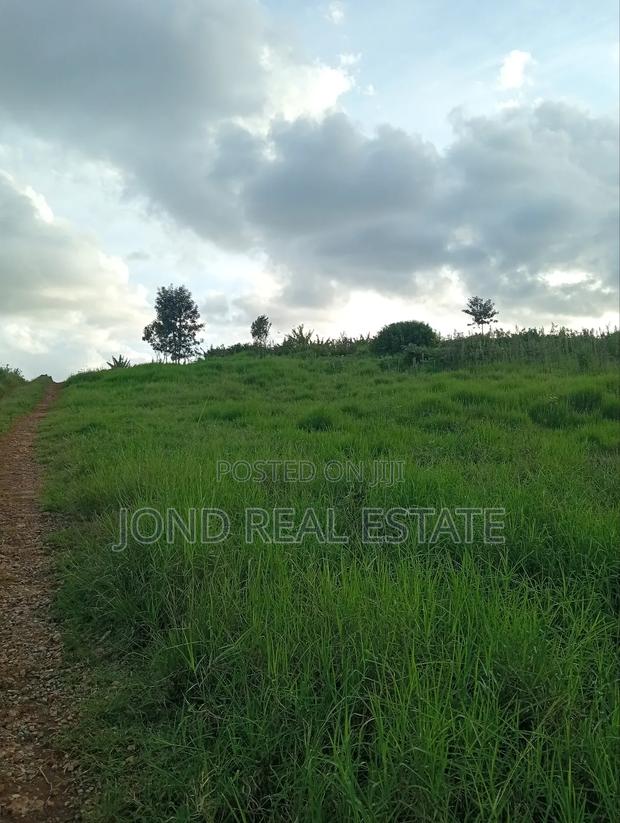 1 Acre for Sale in Tigoni, Limuru. - main view