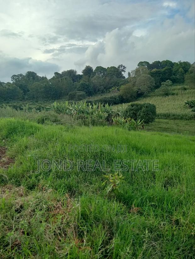 1 Acre for Sale in Tigoni, Limuru. - thumbnail 2