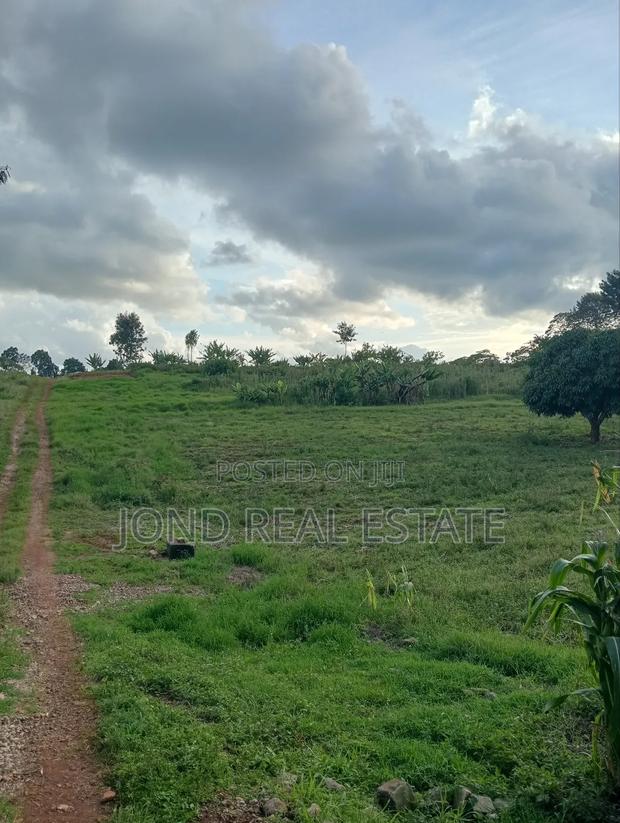 1 Acre for Sale in Tigoni, Limuru. - thumbnail 3