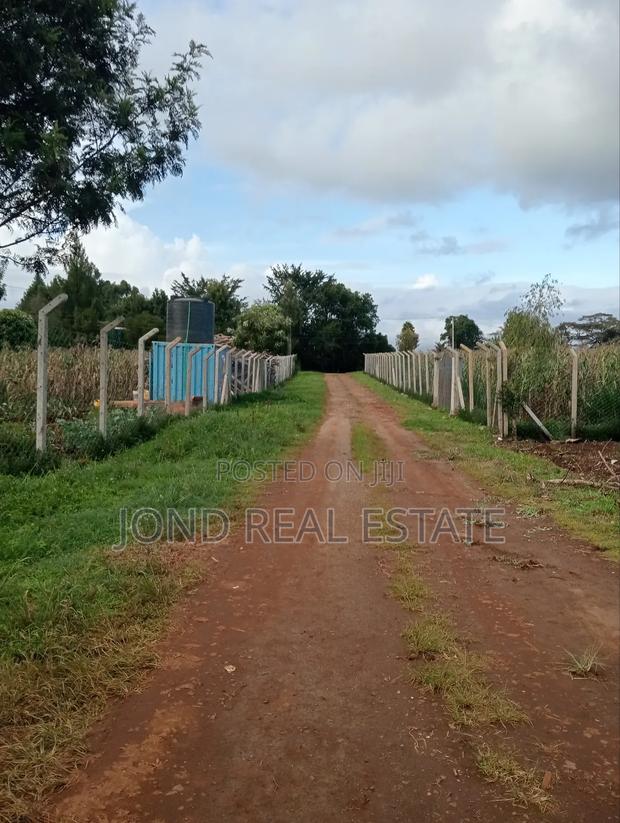1 Acre for Sale in Tigoni, Limuru. - thumbnail 4