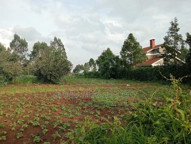Prime 1 Acre for Sale in Rironi (Near Tilisi Development)