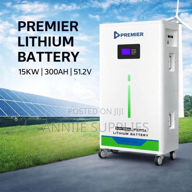 300ah 15kwh Lithium Battery (51.2v)