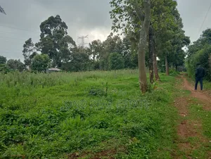 50×100 Plots for Sale in Limuru Near Tilisi Development.