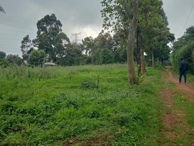 50×100 Plots for Sale in Limuru Near Tilisi Development.
