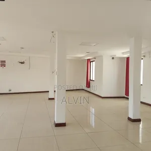 Office Msa CBD Haile Selaise