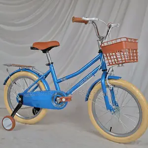 Durable Blue Weilaxi Kids Bike – For 5, 6, 7 Years