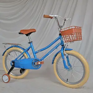 Fancy Blue Weilaxi Bicycle – Ages 5-7 (Size 18)