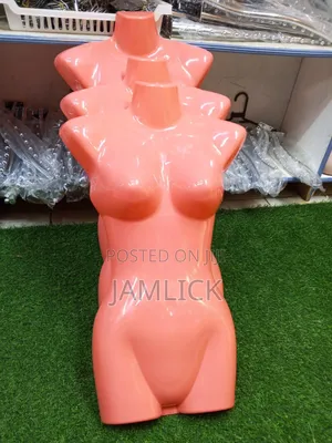 Female Chest Display Mannequin –Ms