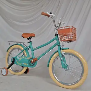 Premium Green Weilaxi Kids Bike – For 5-7 Years