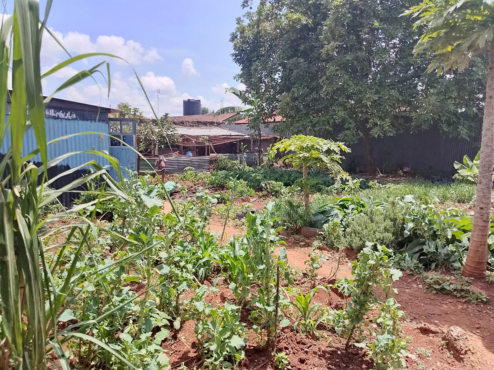 For Sale: Prime Mixed-use Residential Investment – Riruta Kawangware