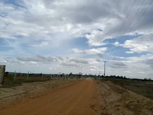 Plots 50 by 100