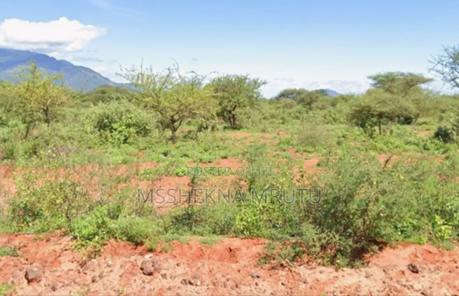 Eco- Tourism Prime Land For Sale – Lake Jipe [15.08 Acres]