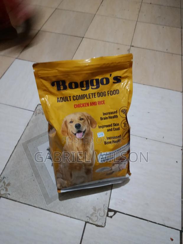 6-12 months Male Mixed Breed Dog - thumbnail 2