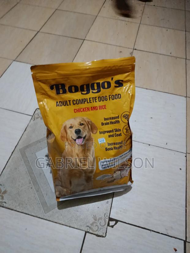 6-12 months Male Mixed Breed Dog - thumbnail 4