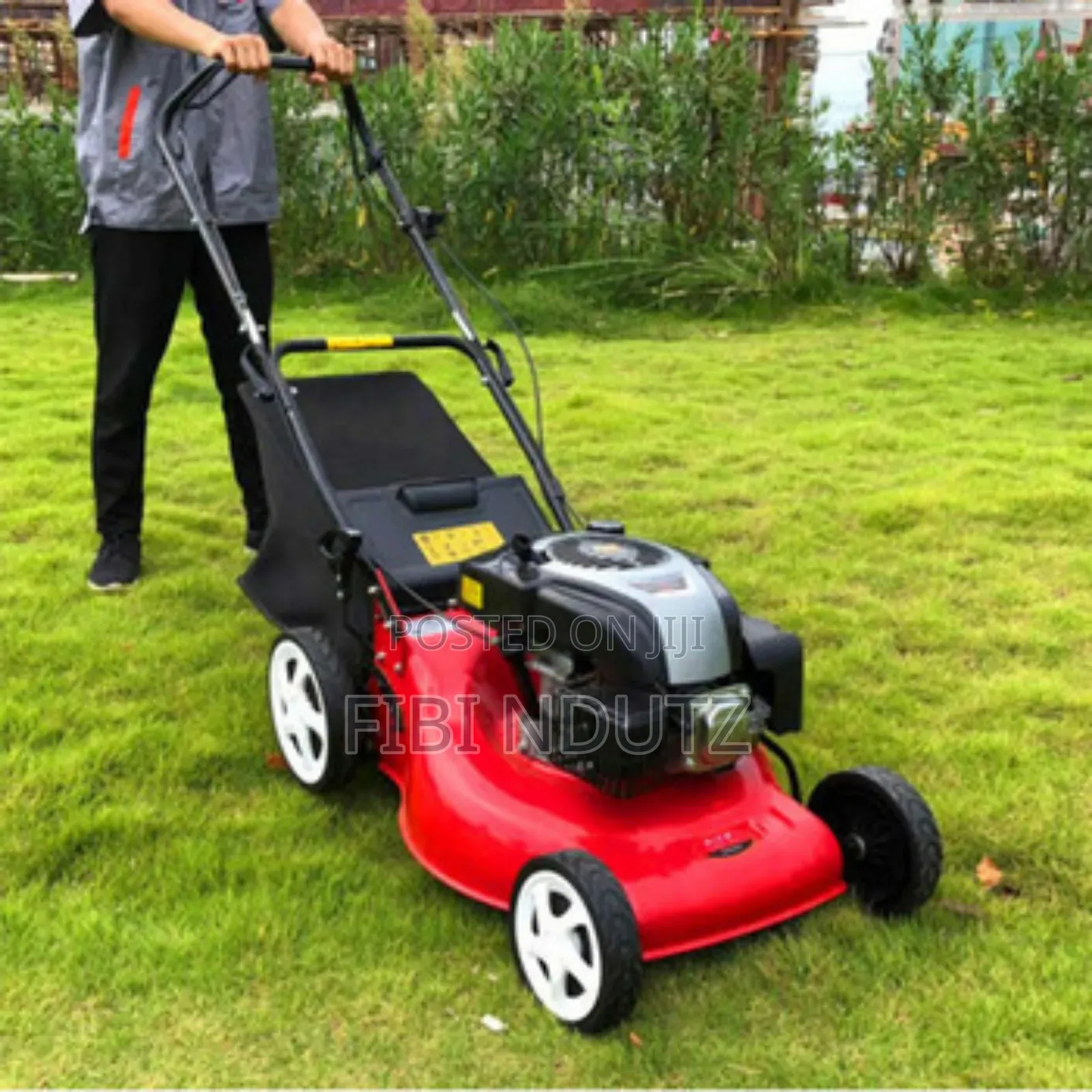 Gasoline Lawn Mower/Gasoline Lawn Mower