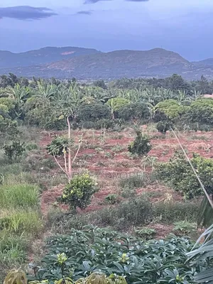 Agribusiness Land