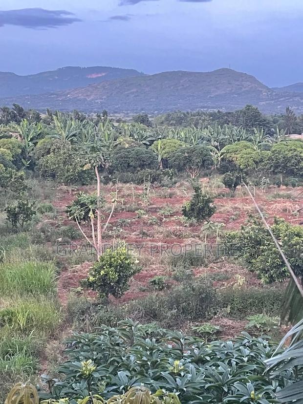 Agribusiness Land - main view