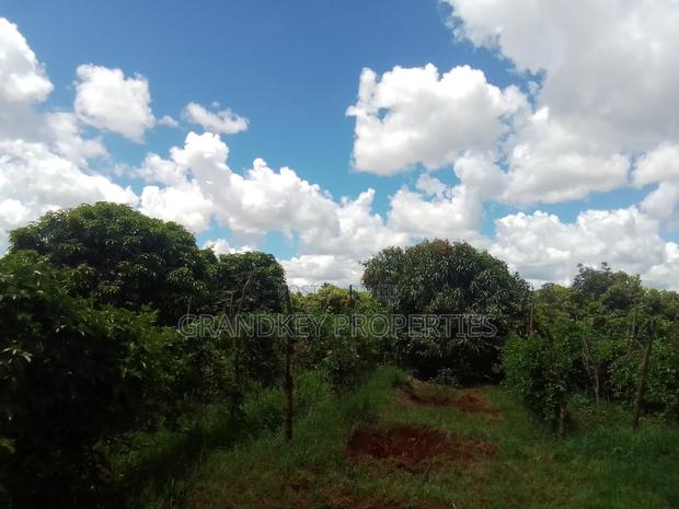 Agribusiness Land - thumbnail 4