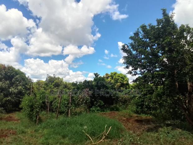 Agribusiness Land - thumbnail 5