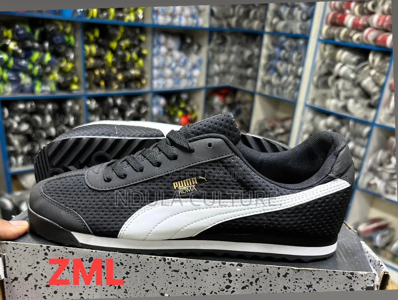 Puma Roma New Style