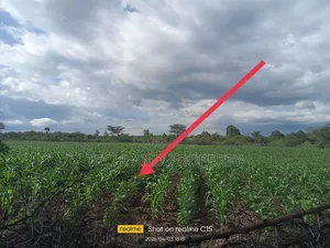 1acre Tanyai Nyeri -Nyahururu.
