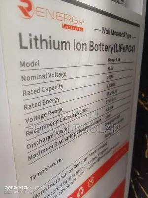 5.12kwh , 51.2v Renergy Lithium Battery 100ah
