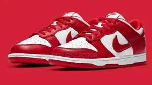 Nike Sb Dunks