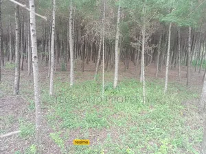 2 3/4acres With a 2bdrm Bedroom House Kakuret Narumoru Nyeri.