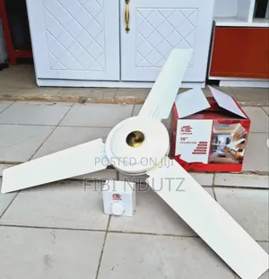 Ceiling Fan/Ceiling Fan