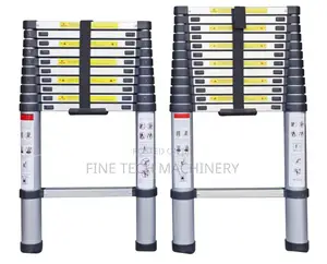 Functional Telescopic Ladder/4.4m Ladder