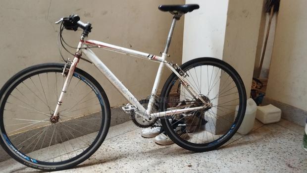 Racing / Road Bicycle - thumbnail 3