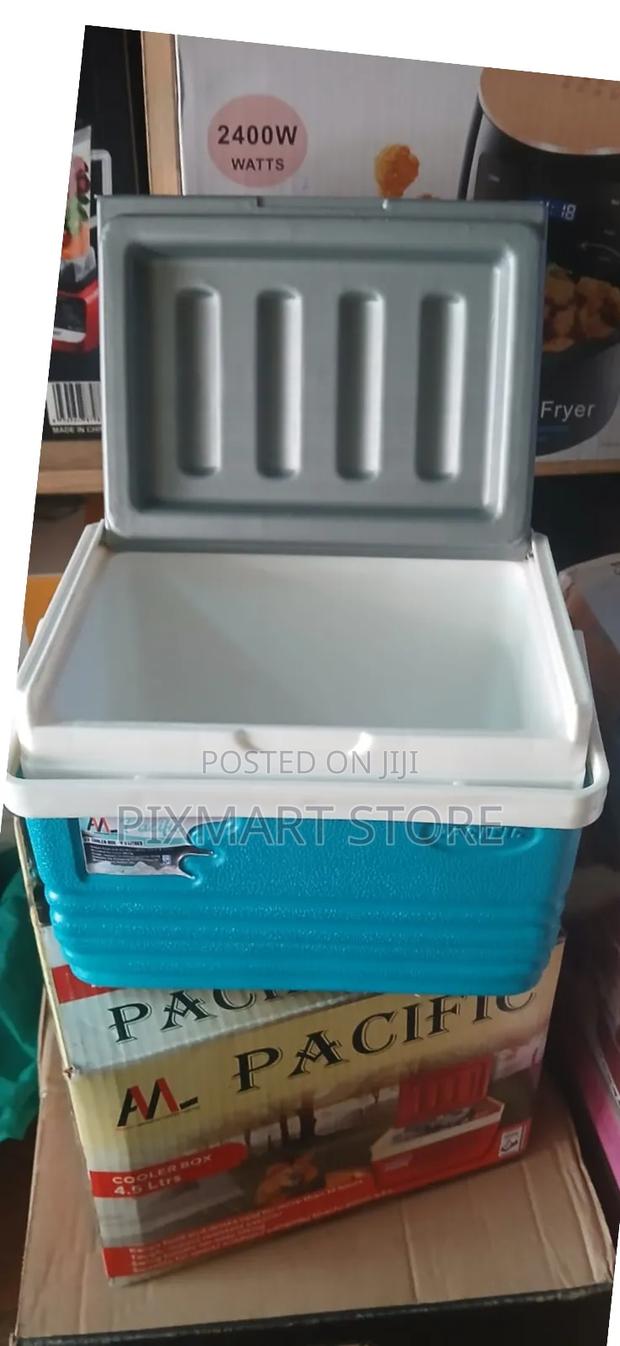 Pacific 4.5l Portable Cooler Box – Compact Ice Chiller