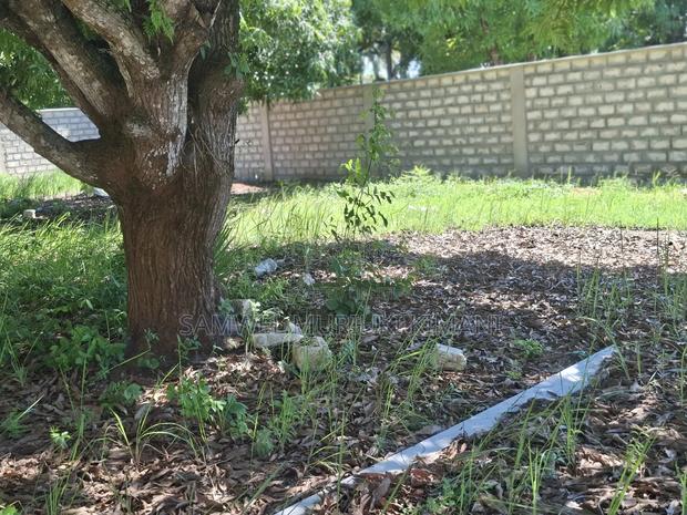 Quarter of Acre Plot for Sale With Ready Title Deed - thumbnail 6