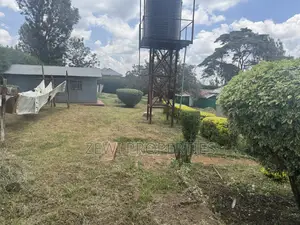 Quarter Bondeni Maasai Road
