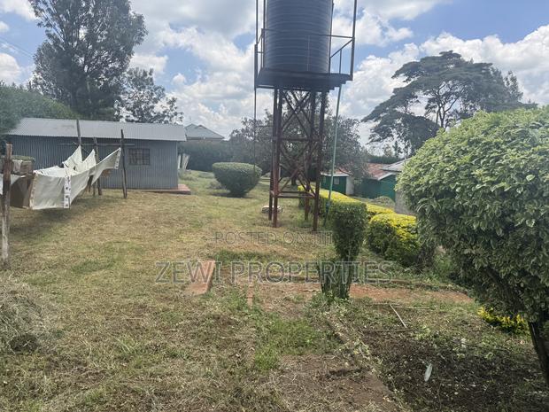 Quarter Bondeni Maasai Road